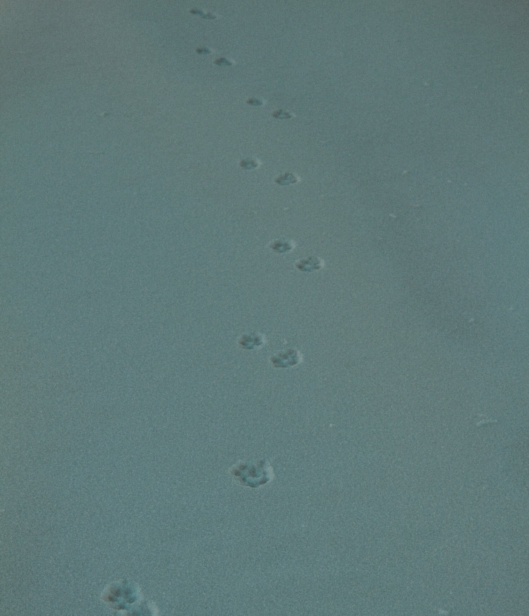mad-visual-7qz1uPlNn9o-unsplash