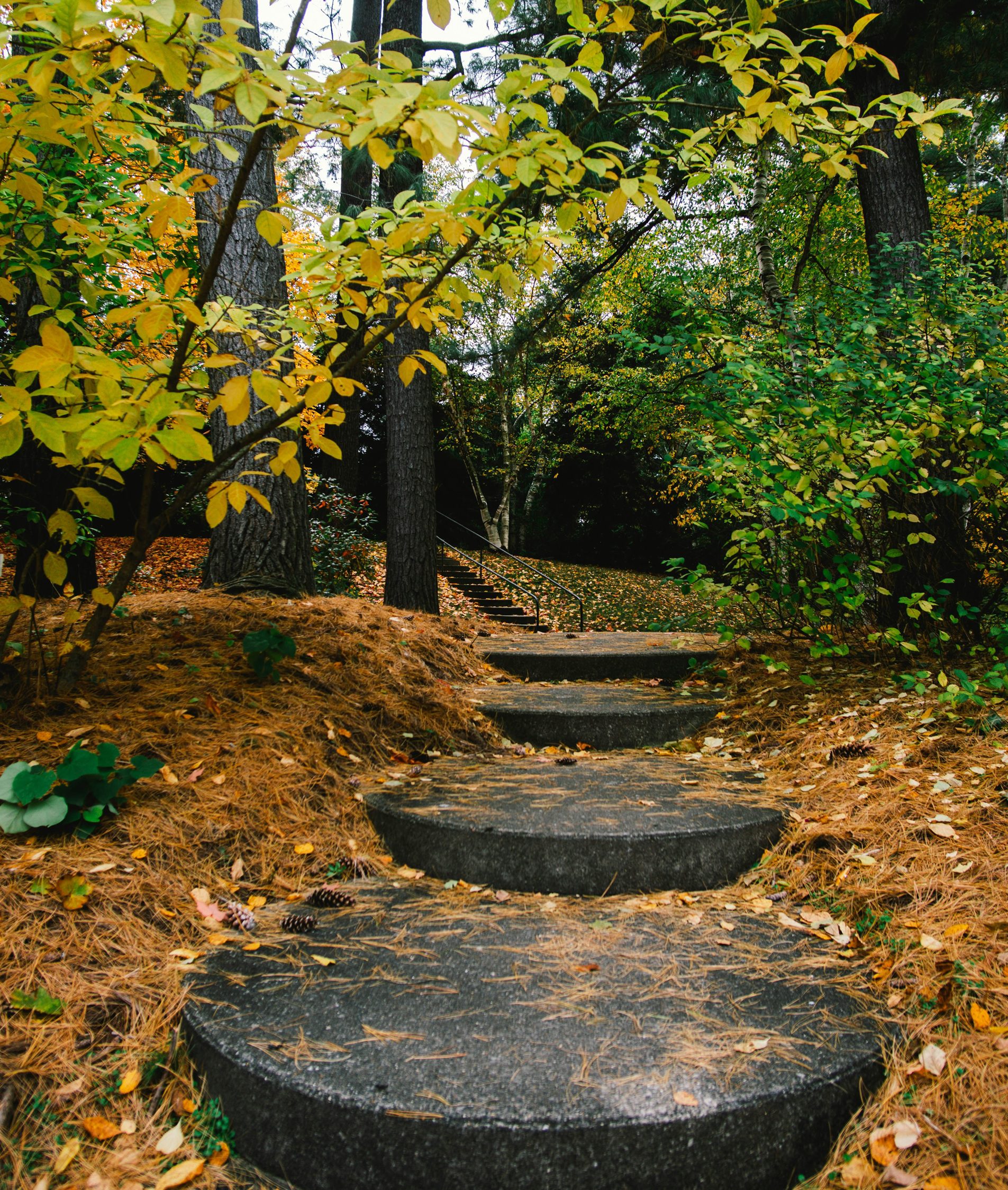 gio-bartlett-XDwdvAz3QFY-unsplash-crop
